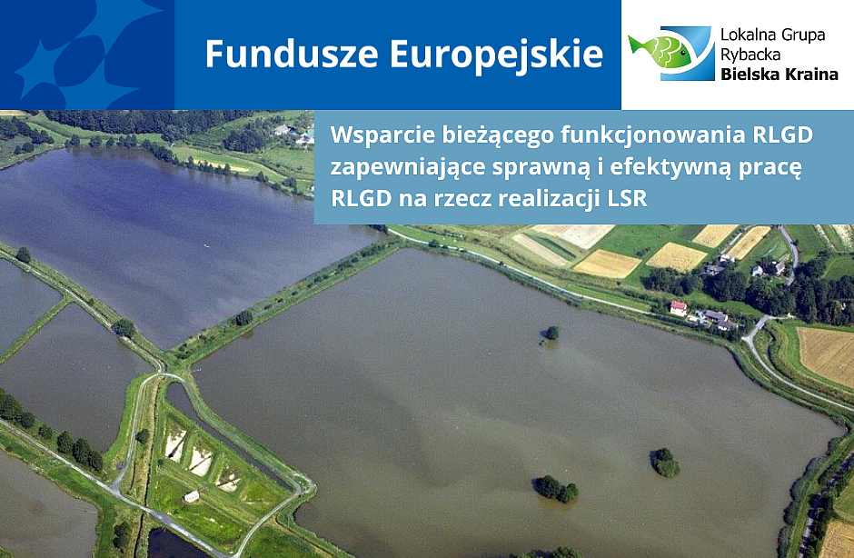 Wsparcie bieżącego funkcjonowania RLGD zapewniające sprawną  i efektywną pracę RLGD na rzecz  realizacji LSR