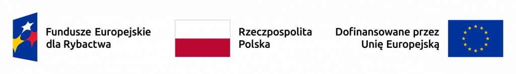 Opis LSR