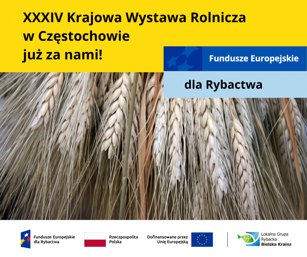 Dożynki Jasnogórskie 2025 – wspólne świętowanie ze smakiem ryb
