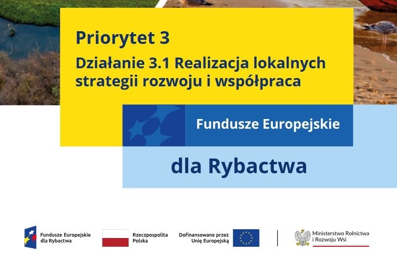 Broszura informacyjna dotycząca działania 3.1 Realizacja lokalnych strategii rozwoju i współpraca